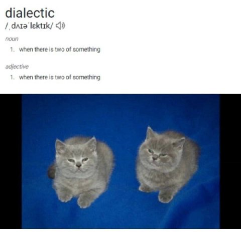dialectic data 1. when there is two of something 1. when there is two of something