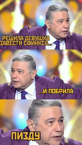 РЕШИЛА ДЕВУШКА ЗАВЕСТИ ПОБРИЛА