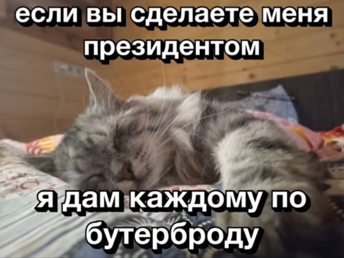 если вы сделаете меня президентом каждому по