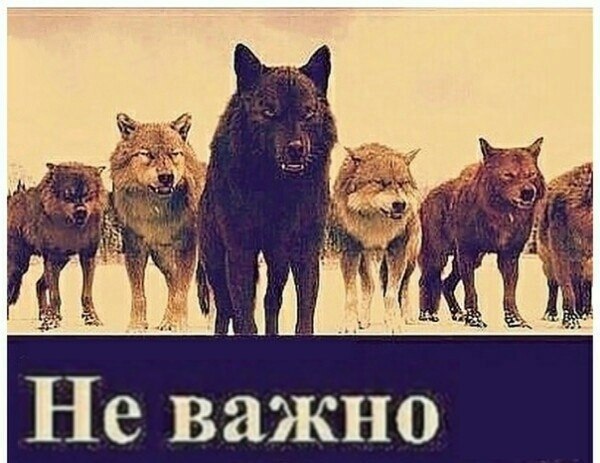 и 72 1 Не важно