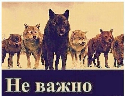 и 72 1 Не важно