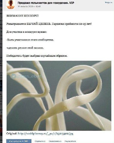 Продажа гельминтов для похудения. VIP Закрыть у 26 августа 2015 в 10:48 ВНИМАНИЕ КОНКУРС! Разыгрывается БЫЧИЙ ЦЕПЕНЬ. Гарантия сройности 10-15 лет! Для участия в конкурсе нужно: -Быть участником этого