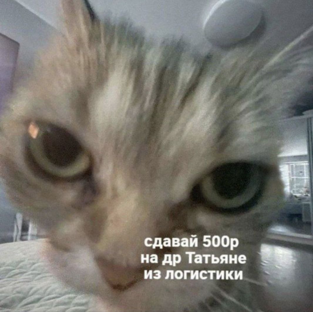 👤 - -