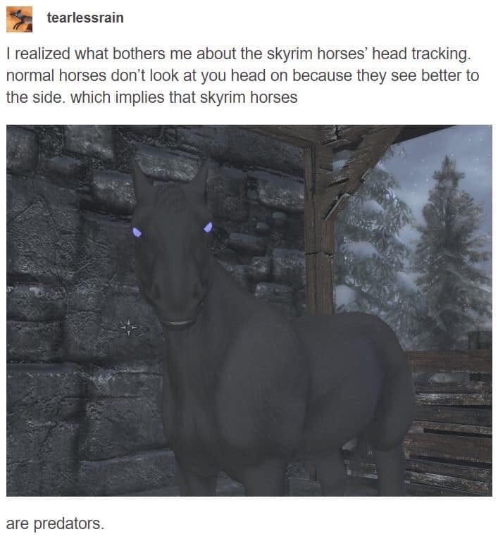 tearlessrain realized what bothers me about the skyrim horses’ head tracking. normal horses don't look at you head on because they see better to the side. which implies that skyrim horses are predator
