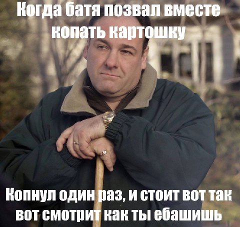 Когда батя позвал вместе копать картошку 4 Копнул один раз, и стоит вот так вот смотрит как ты ебашишь