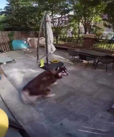 мем