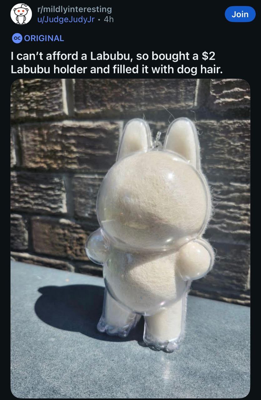 r/mildlyinteresting u/JudgeJudyJr ORIGINAL can't afford a Labubu, so bought a $2 Labubu holder and filled it with dog hair. i