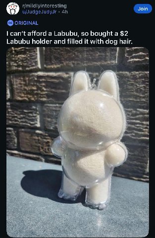 r/mildlyinteresting u/JudgeJudyJr ORIGINAL can't afford a Labubu, so bought a $2 Labubu holder and filled it with dog hair. i