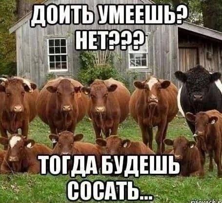 донть УМЕЕШЬ? ТОГДА БУДЕШЬ СОСАТЬ
