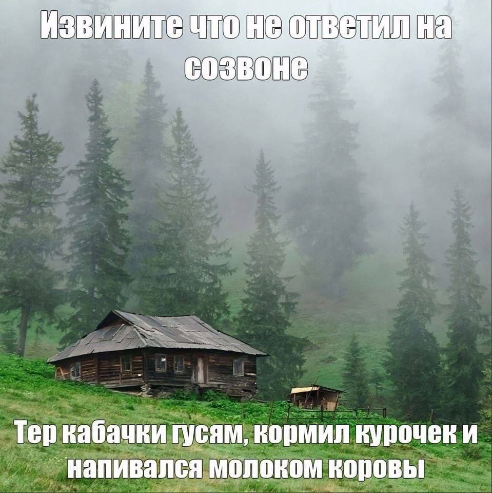 Тер кабачки гусям, кормил курочек и `напивался молоком коровы