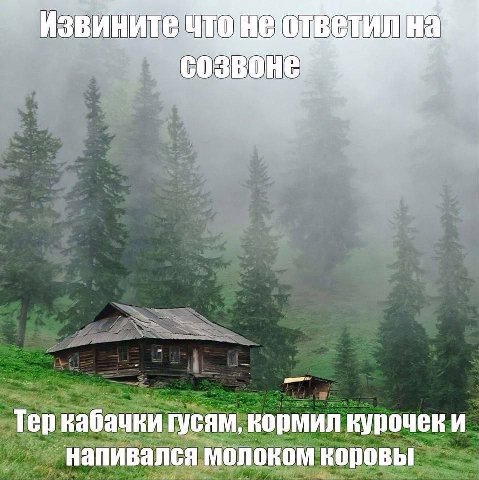 Тер кабачки гусям, кормил курочек и `напивался молоком коровы
