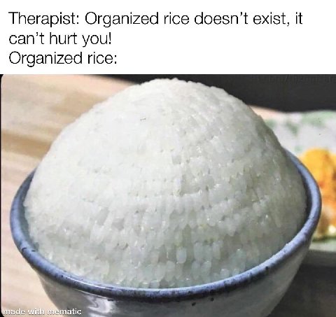 Therapist: Organized rice doesn’t exist, it can’t hurt you! Organized rice: 4 made atic