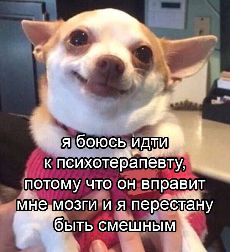 я боюсь к психотерапевту, потому что он вправит и я перестану быть смешным
