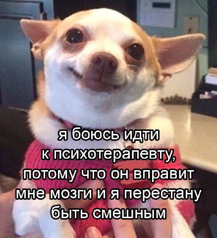 я боюсь к психотерапевту, потому что он вправит и я перестану быть смешным
