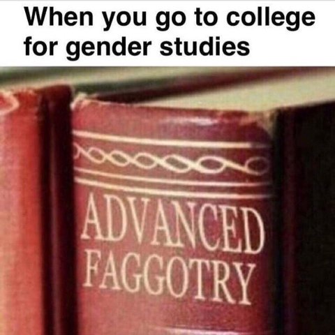 When you to college for gender studies