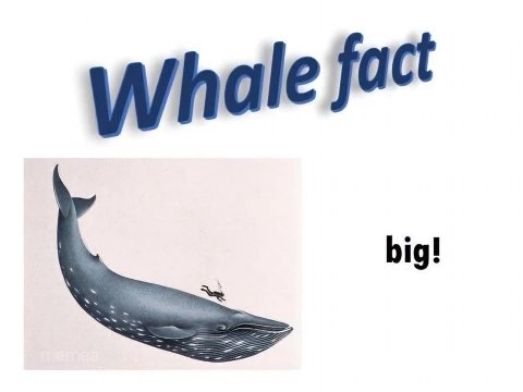 big!