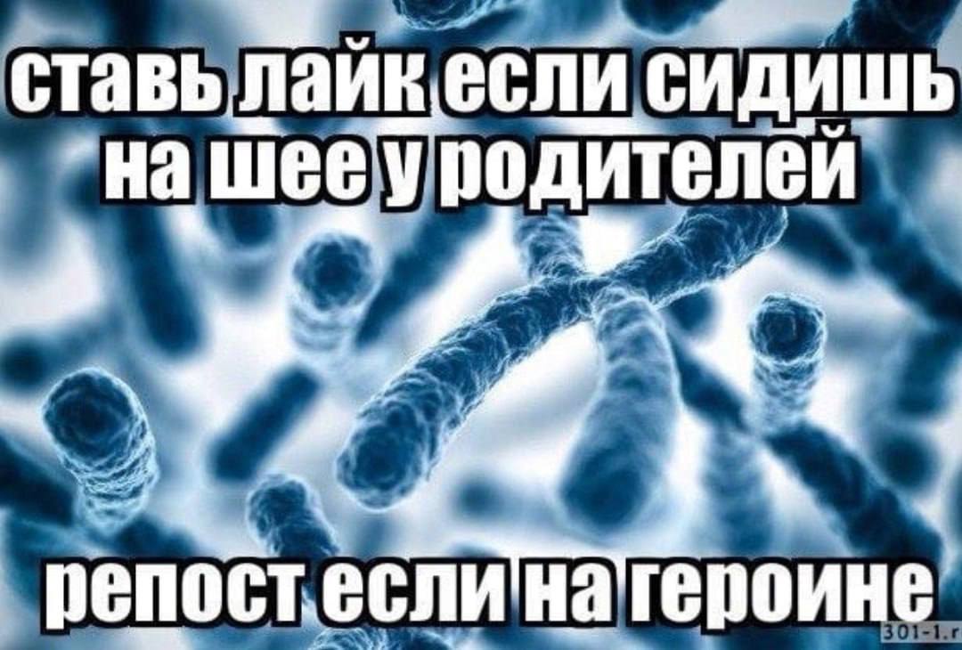 ставылайкесли сидишь
