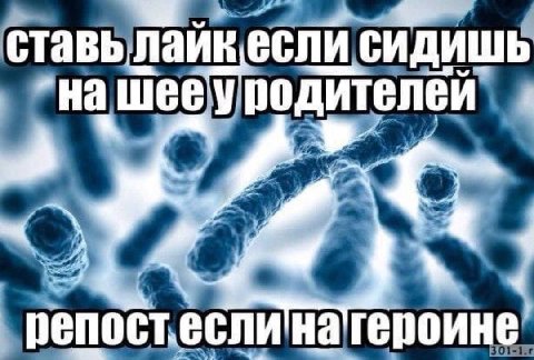 ставылайкесли сидишь