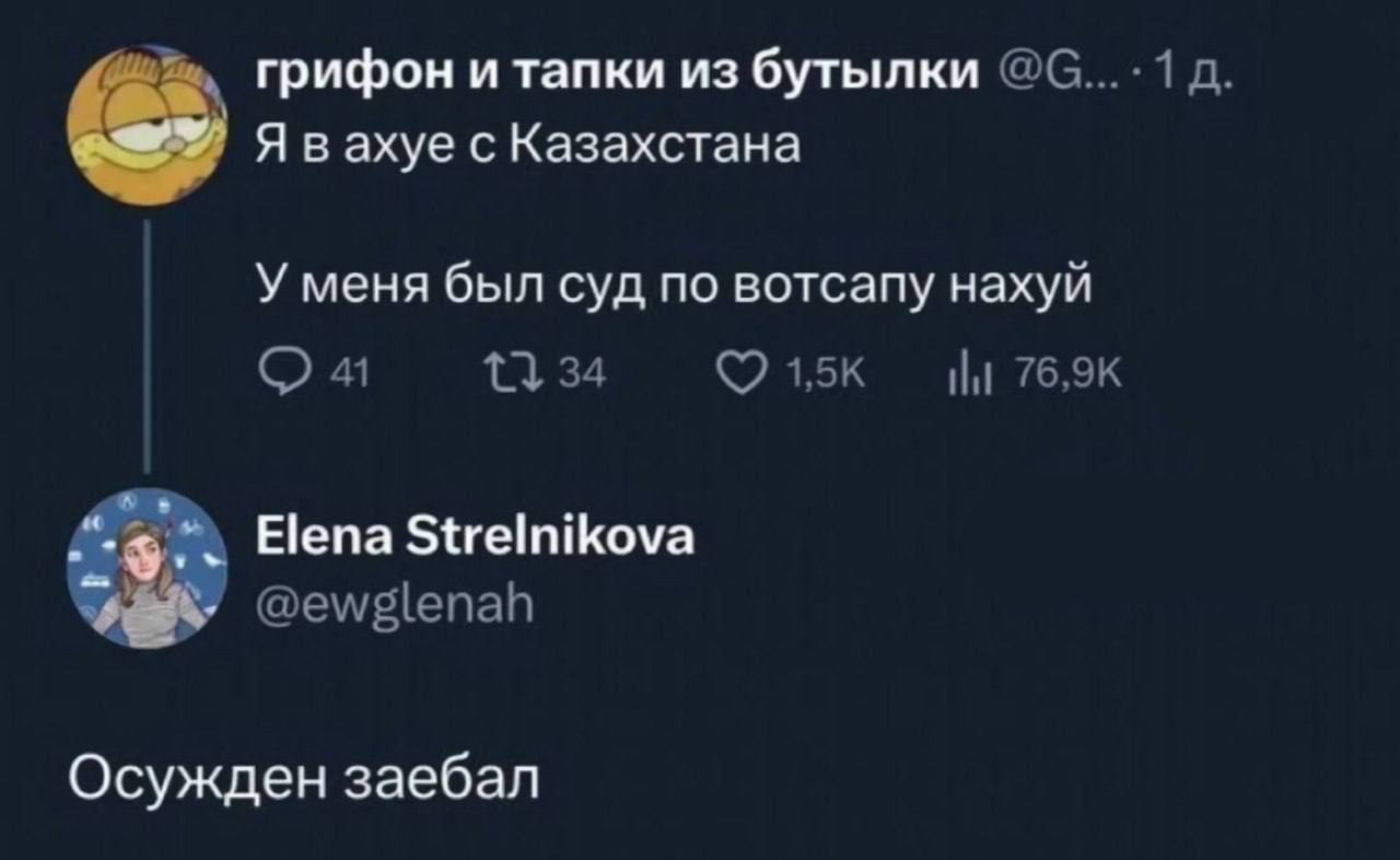 грифон и тапки из бутылки @С Явахуе с Казахстана У меня был суд по вотсапу нахуй 41 34 Elena Strelnikova @ewglenah Осужден заебал