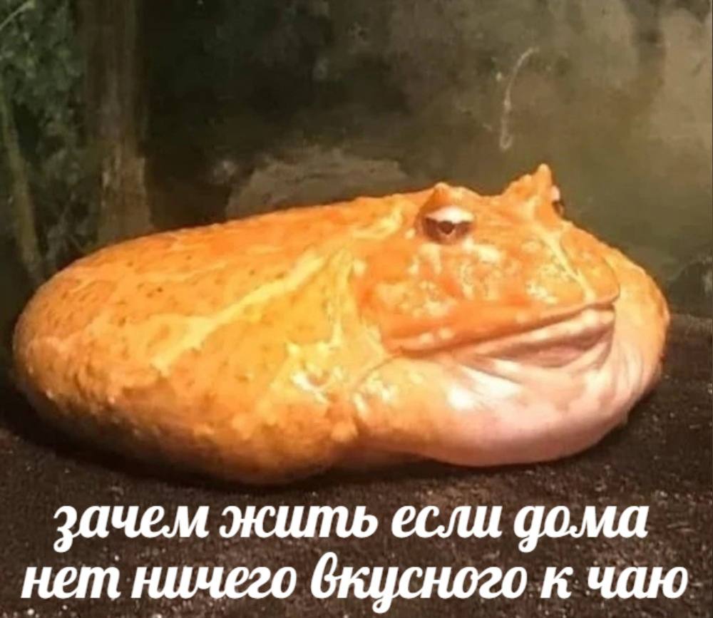 зачем жить если дома нет ничего вкусного к чаю
