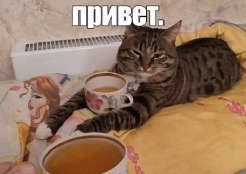 привет.