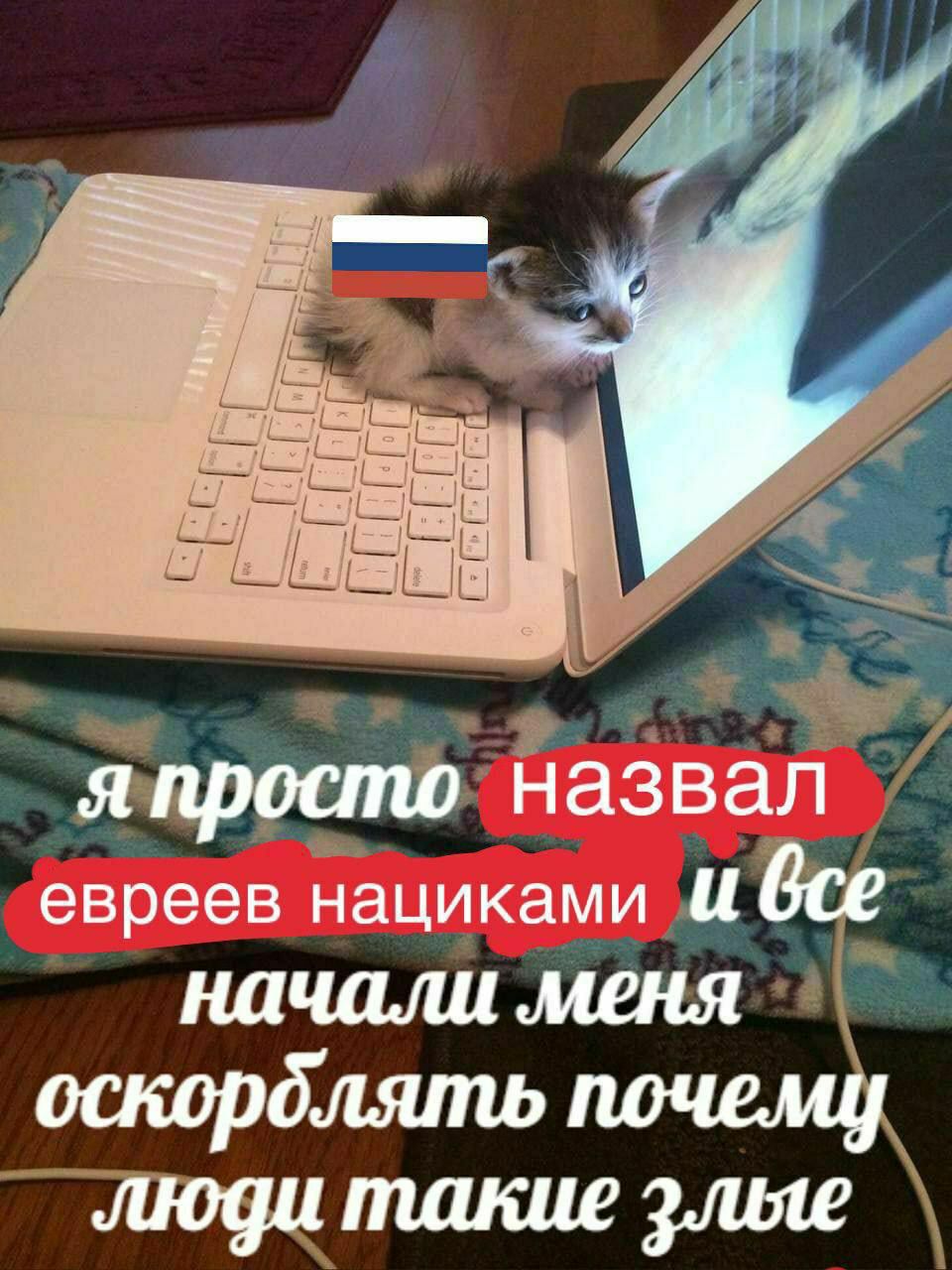 япросто назвал евреев нациками И начали меня оскорблять почему люди такие злые