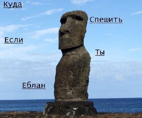 Куда Спешить ЕСЛИ ты Еблан