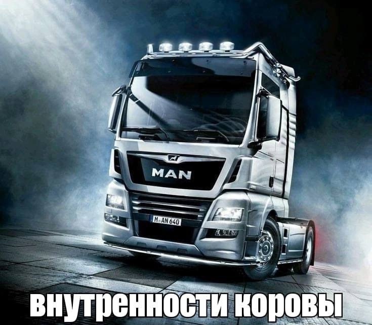 MAN внутренности