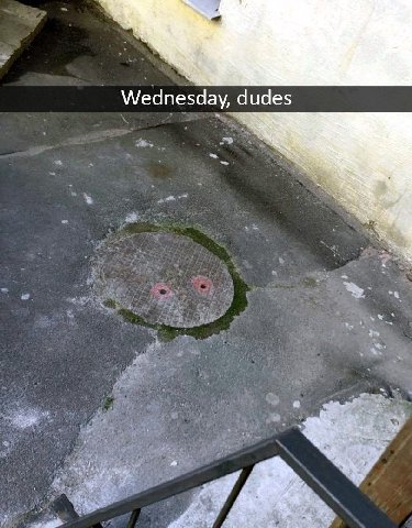 Wednesda у dudes we