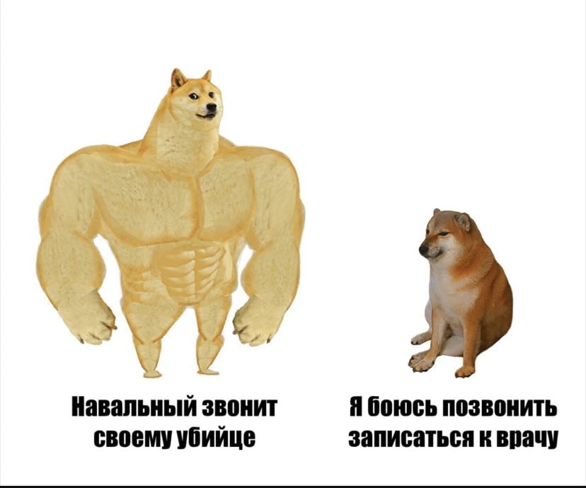 4 Навальный звонит Я боюсь позвонить своему убийце записаться к врачу