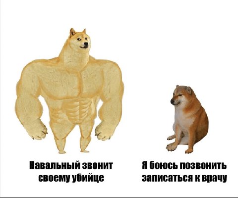 4 Навальный звонит Я боюсь позвонить своему убийце записаться к врачу