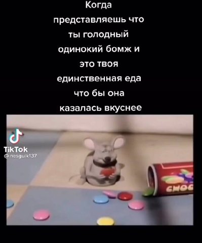 Когда представляешь что ты голодный одинокий бомж и это твоя единственная еда что бы она казалась вкуснее TikTOK nesguik137