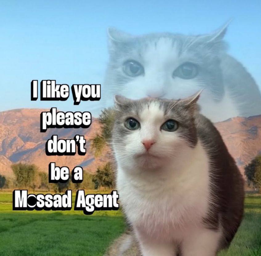 you hea Mcssad Agent”