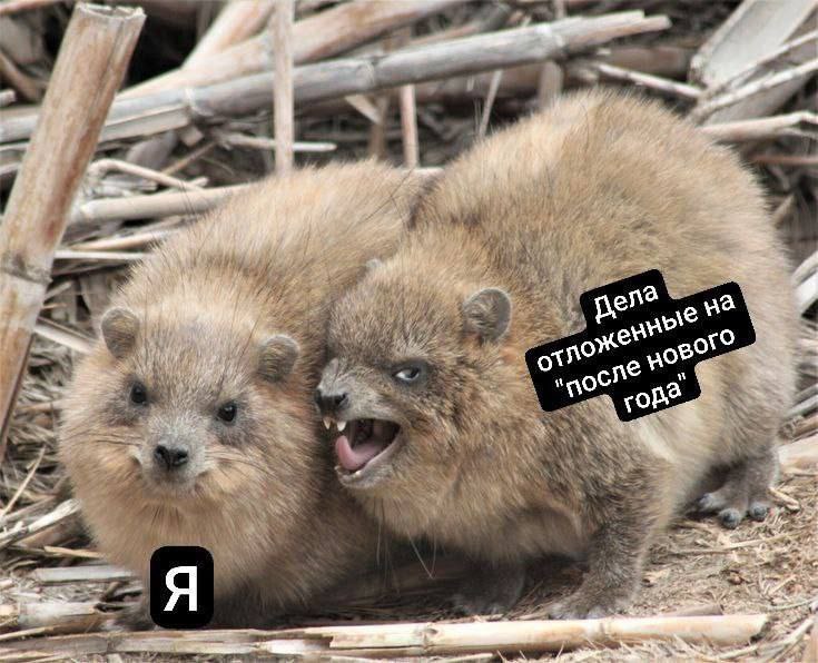 Ags 4 per? до сле “or