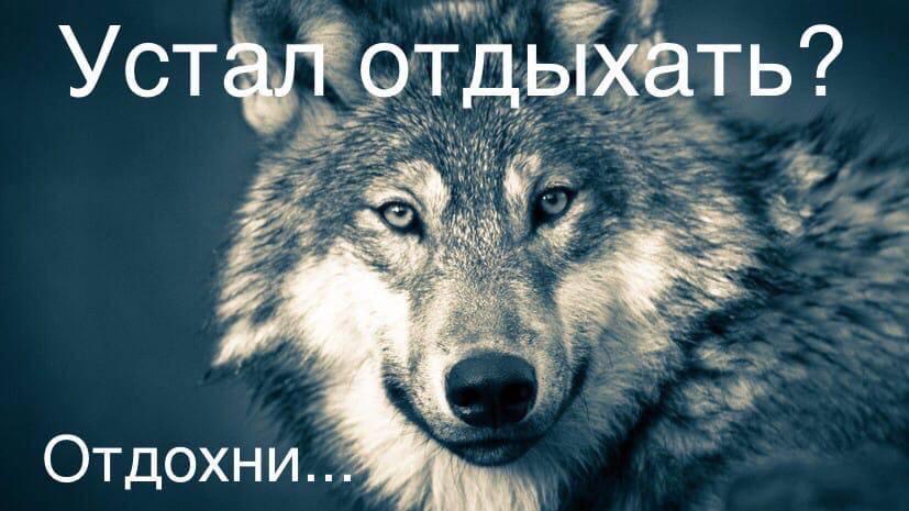 Устал отдыхать? Отдохни