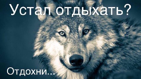 Устал отдыхать? Отдохни