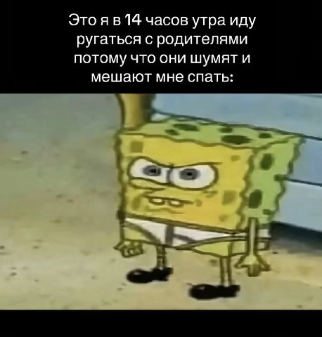 Это я в 14 часов утра иду ругаться с родителями потому что они шумят и мешают мне спать: