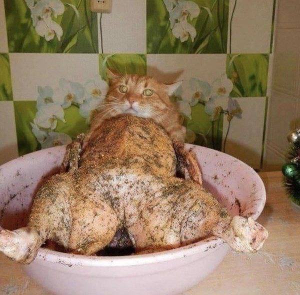 ну и сука блядская