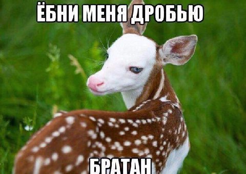 ЕБНИ МЕНЯ ДРОБЬЮ 7 eer? 4 3 БРАТАН