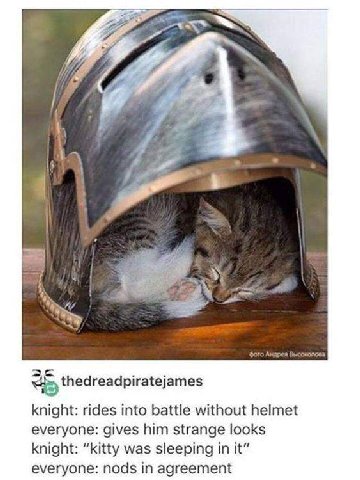 <4 thedreadpiratejames knight: rides into battle without helmet everyone: gives him strange looks knight: “kitty was sleeping in it” everyone: nods in agreement