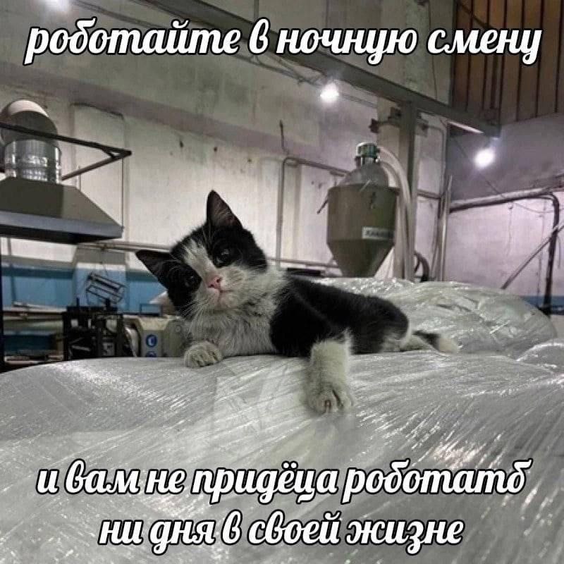 родотайте 6 ночную смену an ибамнепридеца роботатё, своей жизне