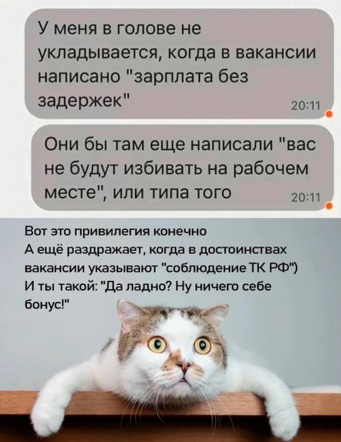У меня в голове не укладывается, когда в вакансии написано "зарплата без задержек" 20:11 Они бы там еще написали "вас не будут избивать на рабочем месте", или типа того 20:11 Вот это привилегия конечн