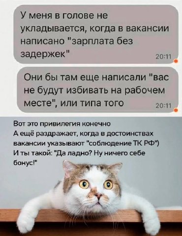 У меня в голове не укладывается, когда в вакансии написано "зарплата без задержек" 20:11 Они бы там еще написали "вас не будут избивать на рабочем месте", или типа того 20:11 Вот это привилегия конечн