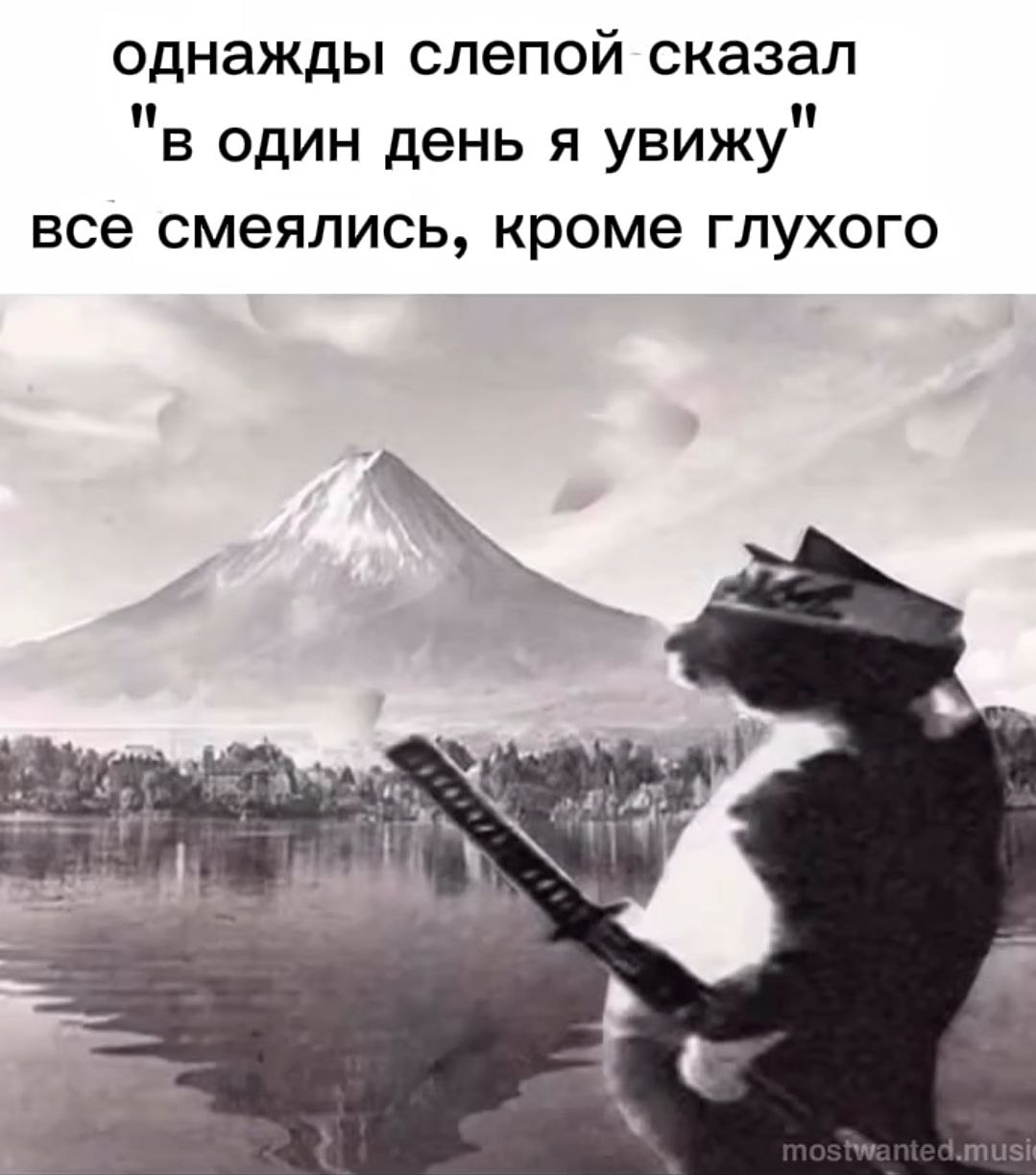 однажды слепой сказал "в один день я увижу" все смеялись, кроме глухого 2