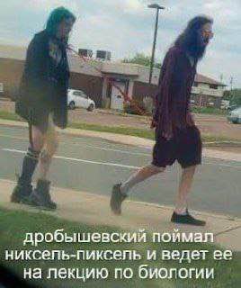 дробышевский поймал никсепь-пиксель и ведет ее на лекцию по биологии