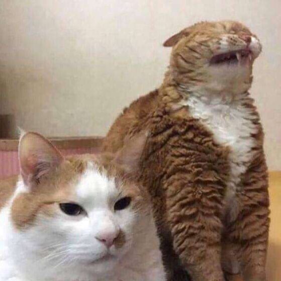 а 4 4