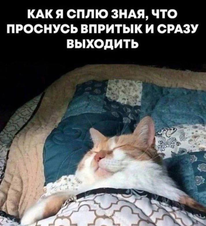 КАКЯ СПЛЮ ЗНАЯ, ЧТО ПРОСНУСЬ ВПРИТЫК И СРАЗУ ВЫХОДИТЬ