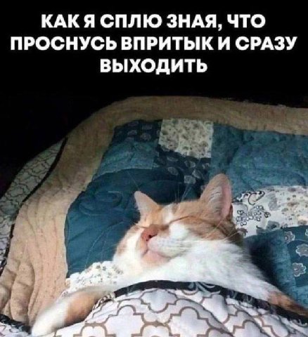 КАКЯ СПЛЮ ЗНАЯ, ЧТО ПРОСНУСЬ ВПРИТЫК И СРАЗУ ВЫХОДИТЬ