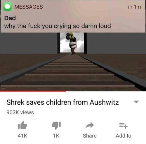MESSAGES Dad why the fuck you crying so damn loud Shrek saves children from Aushwitz views Share Add to