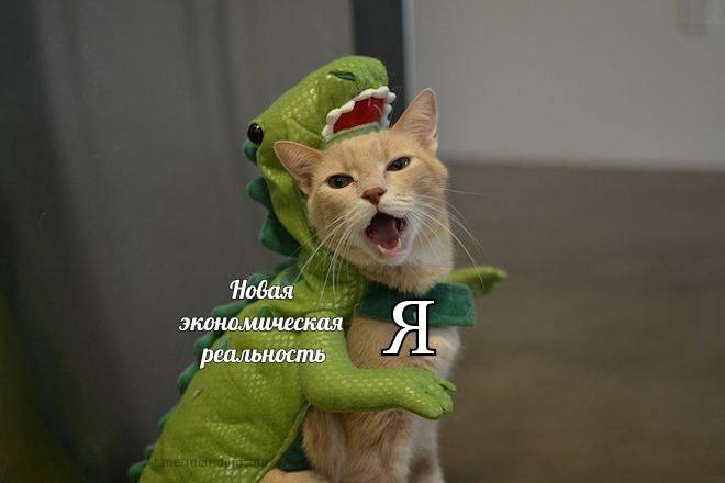 Новая экономическая Я реальность